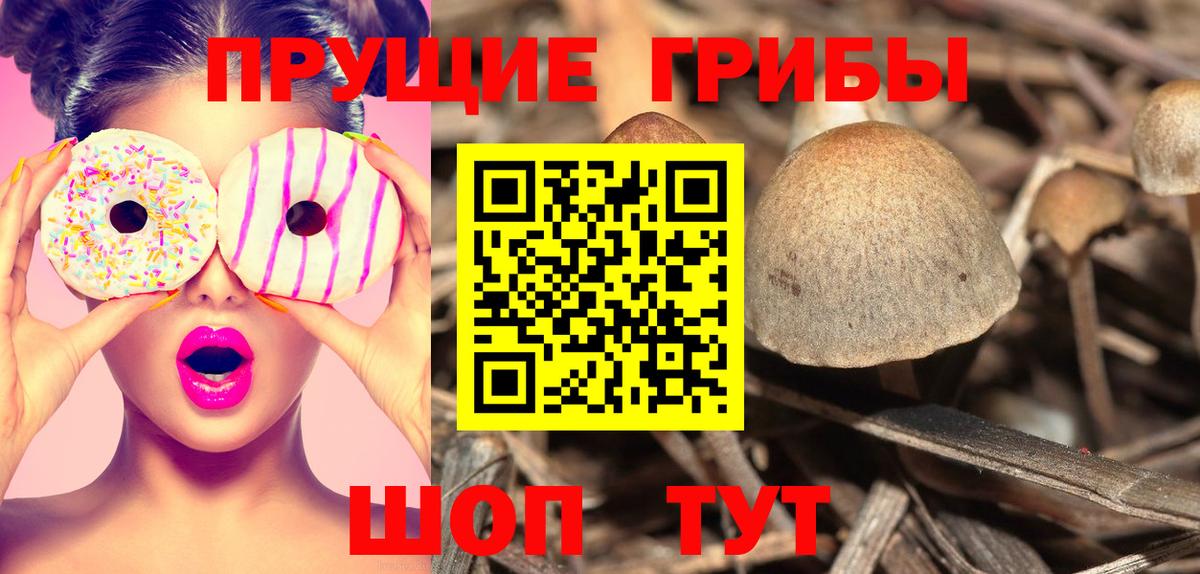 Галлюциногенные грибы ЛСД  Вход с VPN  продажа наркотиков  Донской 
